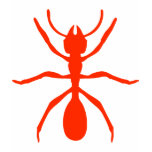 red ant t-shirts