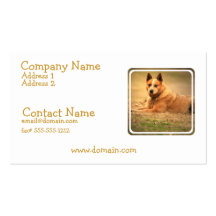 Red Australian Cattle Dog Business Card