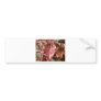Red Autumn Leaves Bumper Sticker