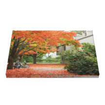 Red Autumn Leaves Falling Stretched Canvas Prints