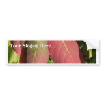 Red Autumn Leaves On Tree Bumper Sticker