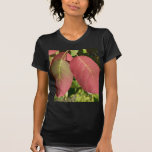 Red Autumn Leaves On Tree Shirt