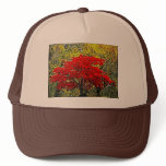 Red Autumn Painting Art Hat
