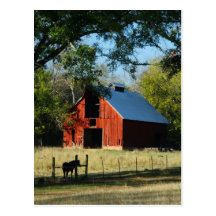 Red Barn and Horse Postcard