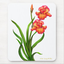 Red Bearded Iris Flowers Mousepad