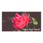 Red beautiful flower photo card template
