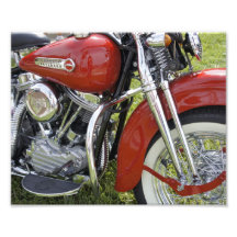 Red Beauty Photo
