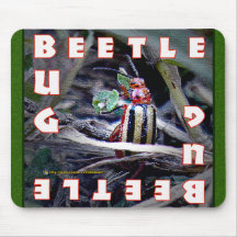 Red Beetle Bug Mouse Pad