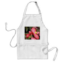 Red Begonia Aprons