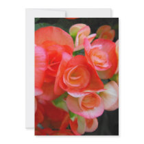 red begonia flowers party invitation