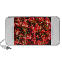 Red Begonia Speaker