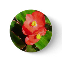 Red Begonias Button