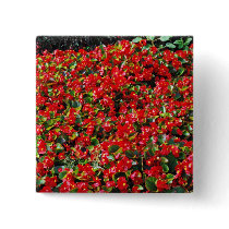 Red Begonias Pinback Button