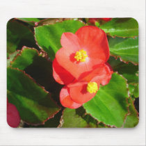 Red Begonias Mousepad