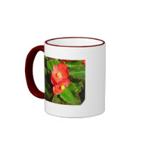 Red Begonias Mug