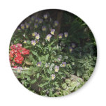 Red Begonias ~ Viola Garden Flowers Fridge Magnet