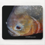 Red-bellied piranha mousepads