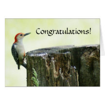 Red-bellied Woodpecker Card