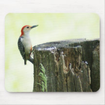Red-bellied Woodpecker Mousepad