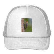 Red-bellied Woodpecker Trucker Hat