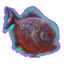 Red Belly Piranha Photo Sculpture