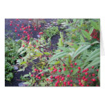 Red Berries at Work Greeting Cards