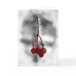 Red Berry Christmas Birthday Card