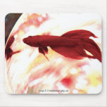 Red Betta Fish Mousepads