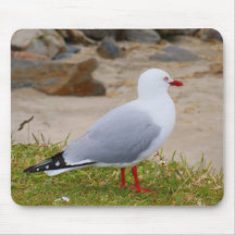Red-billed Seagull Mousepads