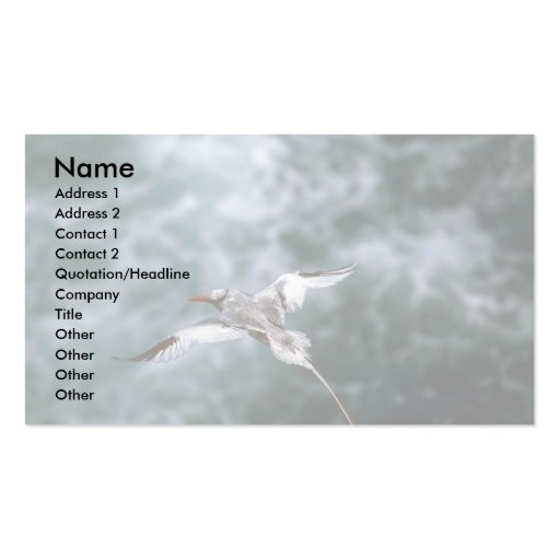 Red-Billed Tropic Bird In Flight Business Card
