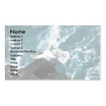 Red-Billed Tropic Bird In Flight Business Cards