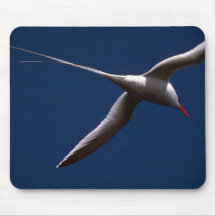 Red-Billed Tropic Bird In Flight Mouse Pads