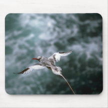Red-Billed Tropic Bird In Flight Mouse Pads