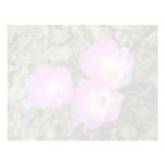 Red Bitterroot flowers Letterhead Template