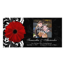 Red, Black and White Scroll Gerbera Daisy Photo Cards