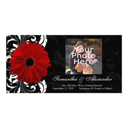 Red, Black and White Scroll Gerbera Daisy Photo Cards