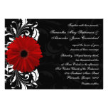 Red, Black and White Scroll Gerbera Daisy Wedding Custom Announcements