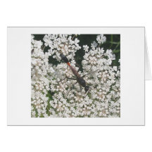 Red & Black Wasp Note Card