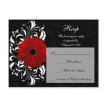 Red+Black+White Gerbera Daisy RSVP Reply Postcards
