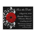 Red+Black+White Gerbera Daisy Save the Date postcards