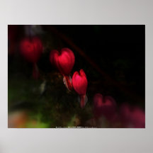 red bleeding hearts #8 dark print