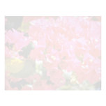 Red Bougainvillea flowers Letterhead Design
