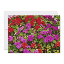 Red Bouquet of begonias flowers Personalized Announcement