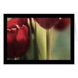 Red Bouquet, Tulips, floral artography, Card