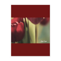 Red Bouquet, Tulips, floral artography, Post Card