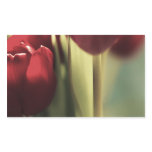 Red Bouquet, Tulips, floral artography, Rectangle Sticker