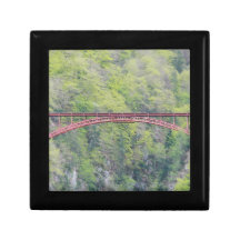 Red bridge in the middle of the jungle gift box