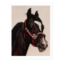 Red Bridle Post Cards