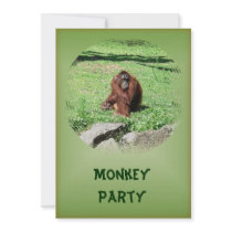 Red-Brown Haired Orangutan Sitting On Grass Party