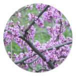 Red Bud Tree stickers